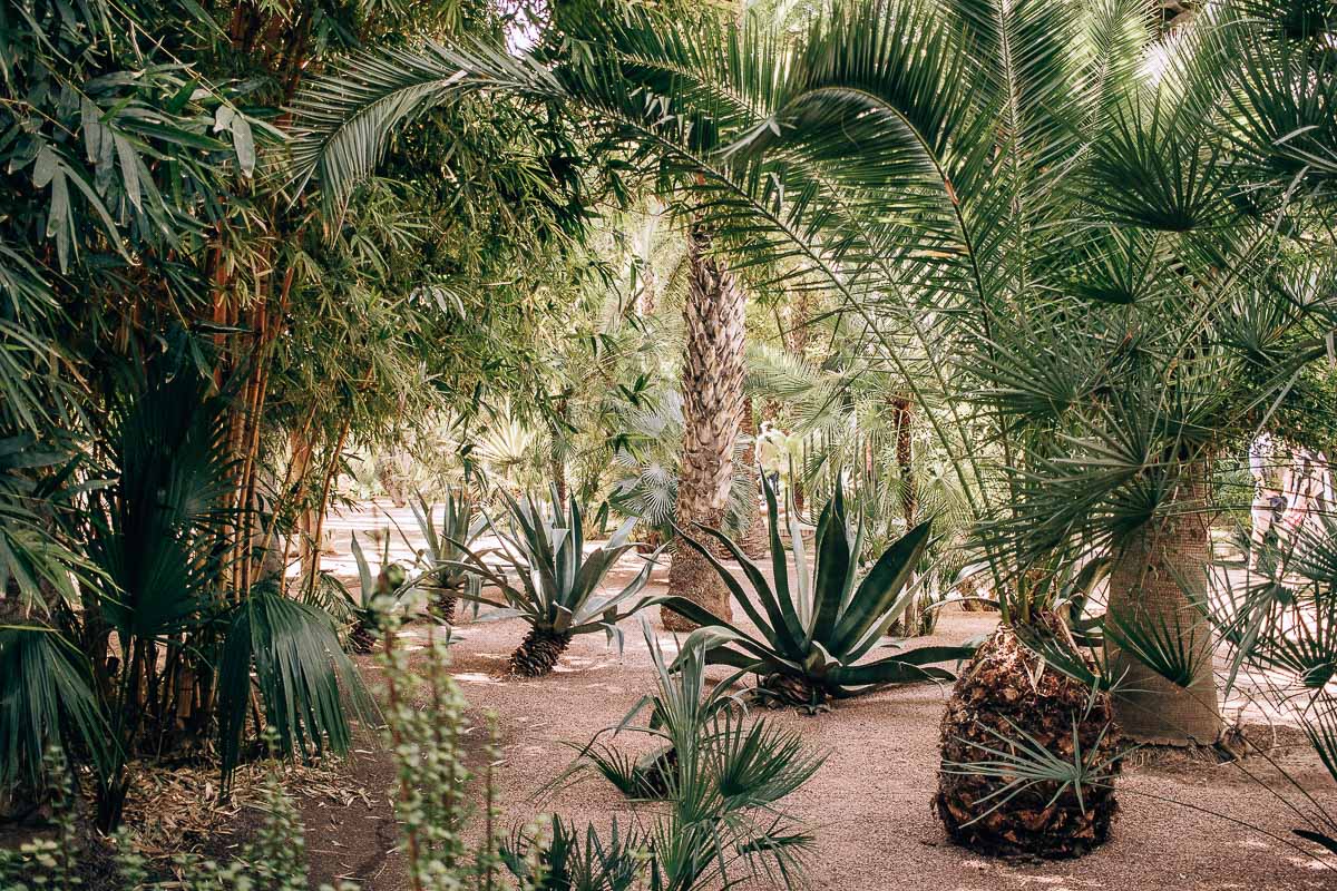 majorelle-garden-marrakech