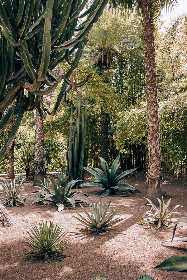 majorelle-marrakech