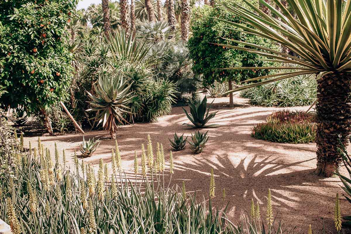 marrakech-majorelle