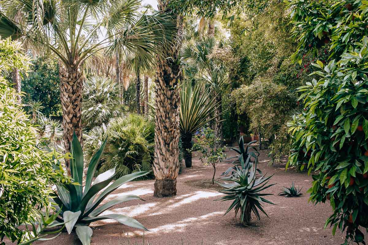 morocco-marrakech-majorelle-garden